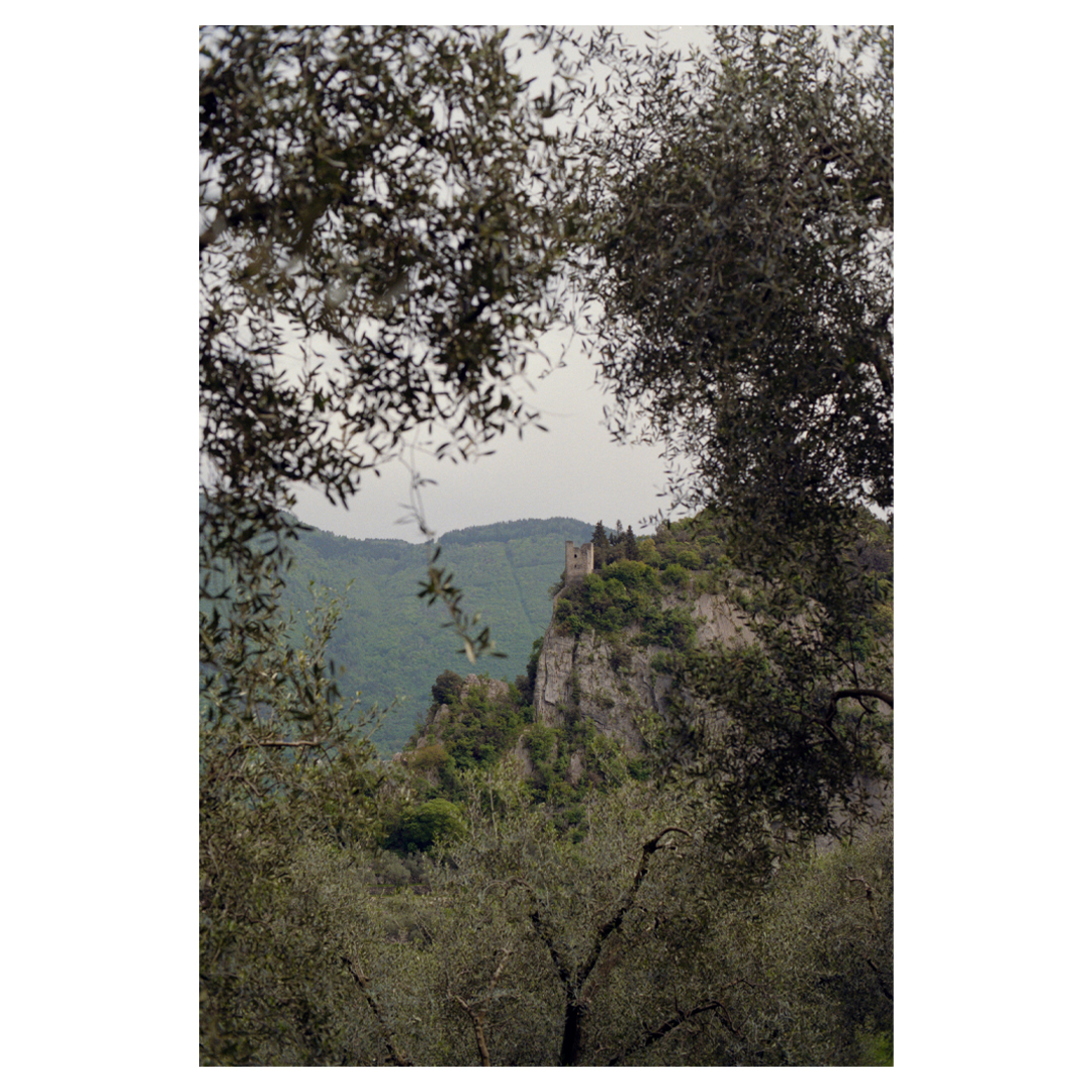 Arco 2